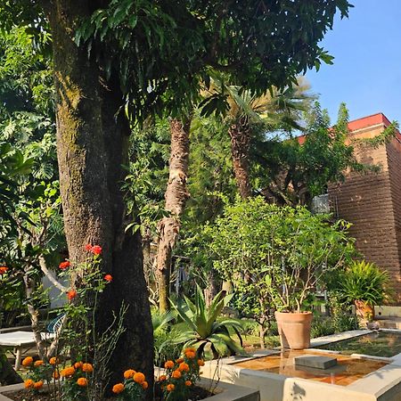 Casa Limon Malinalco Hotel Bagian luar foto