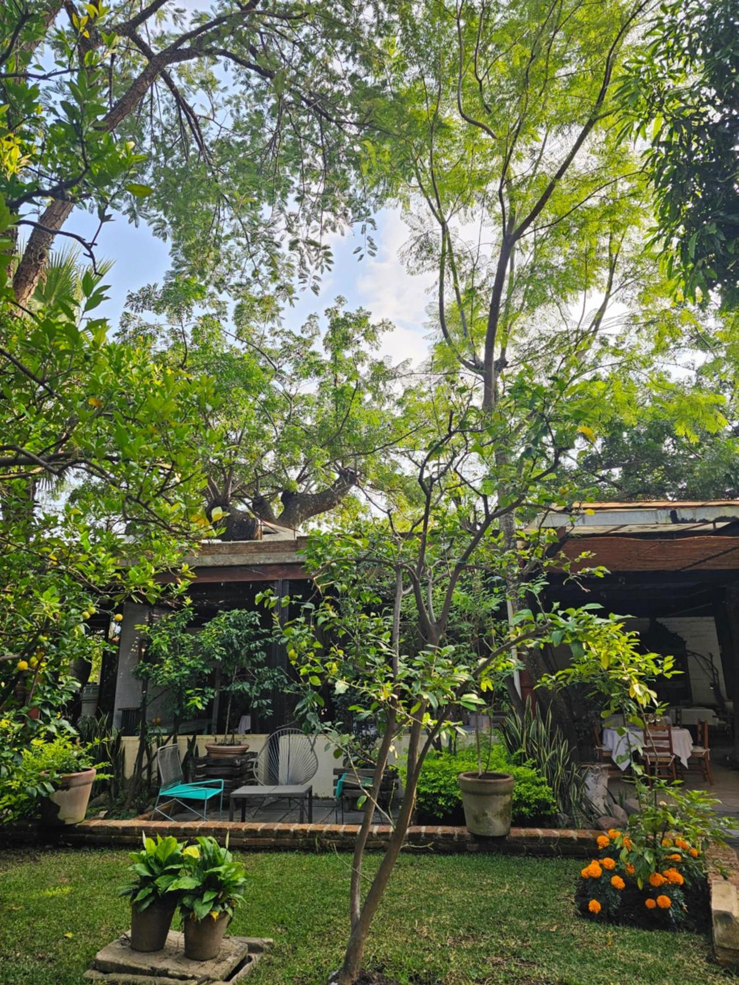 Casa Limon Malinalco Hotel Bagian luar foto