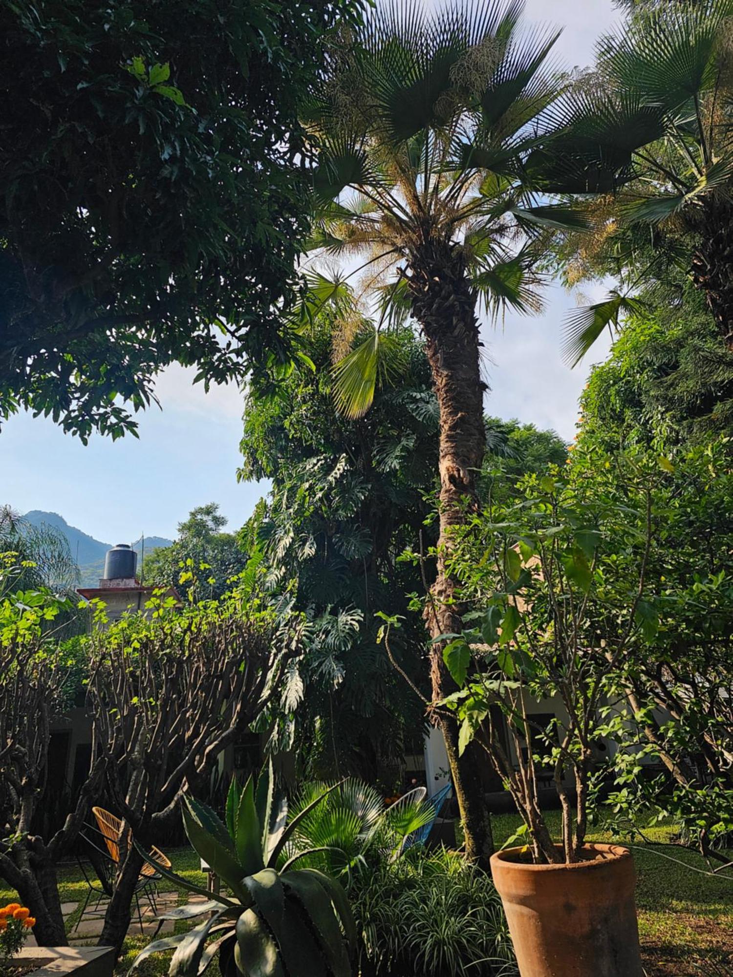 Casa Limon Malinalco Hotel Bagian luar foto